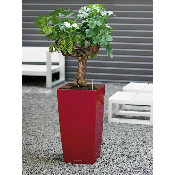 Lechuza Übertopf CUBICO Premium 40 Rot Hochglanz, 40 X 40 X 75 Cm, Kunststoff, Erdbewässerungssystem – Bild 3