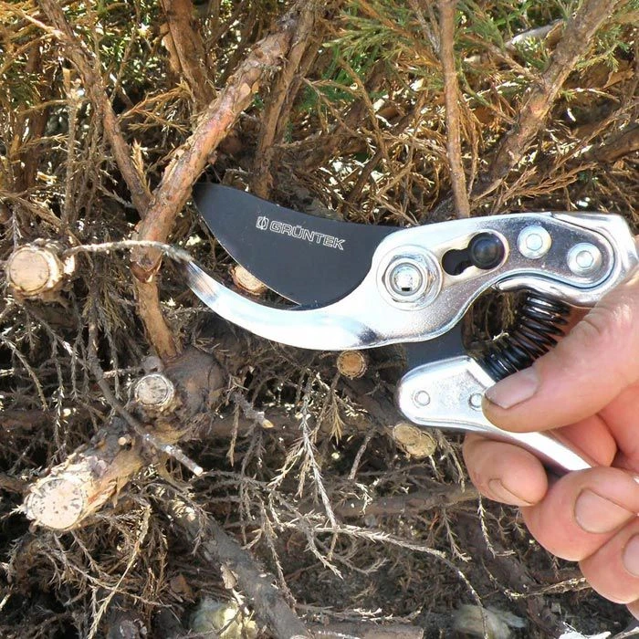 Grüntek Gartenschere SILBERSCHNITT, Bypass, Schneidleistung Bis 20mm Ø – Bild 3