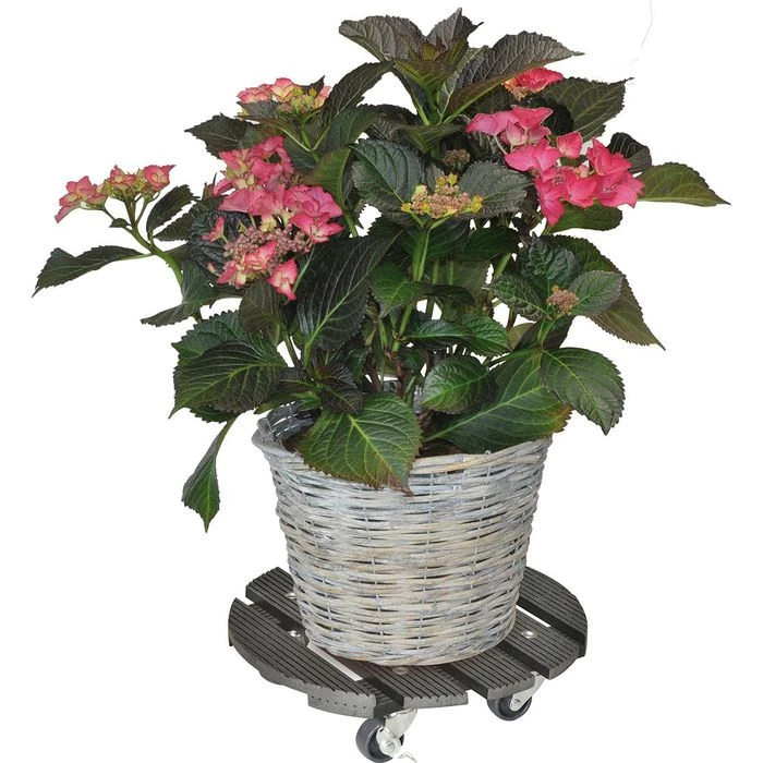 Wagner-System Pflanzenroller 20052501, Rund, Kunststoff, 100kg, Anthrazit, Ă 29cm â Bild 2