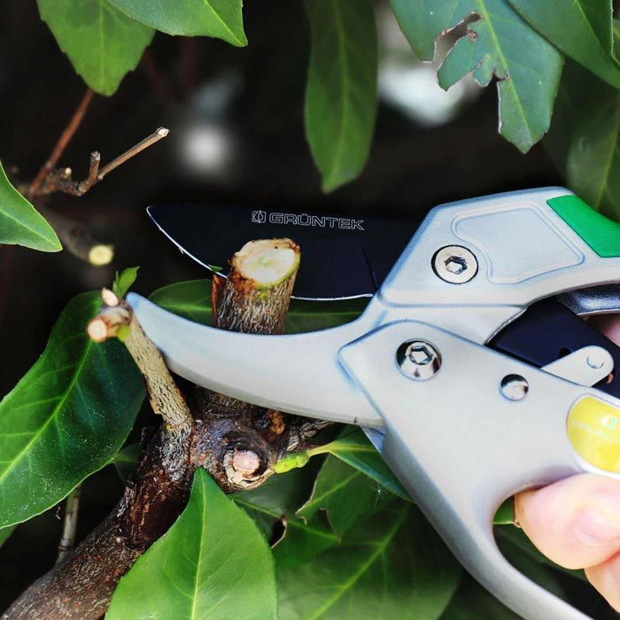 Grüntek Gartenschere KONDOR, Amboss, Schneidleistung Bis 20mm Ø, Mit Ratsche – Bild 5