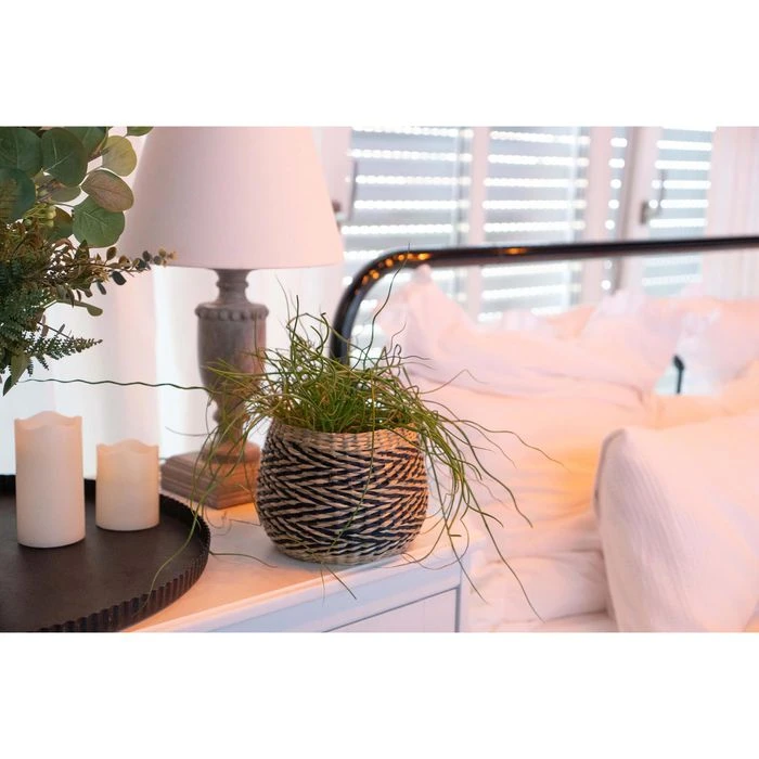 Decorasian Übertopf Korb 2er Set, Natur, Ø 20 Cm / Ø 25 Cm, Seegras – Bild 4