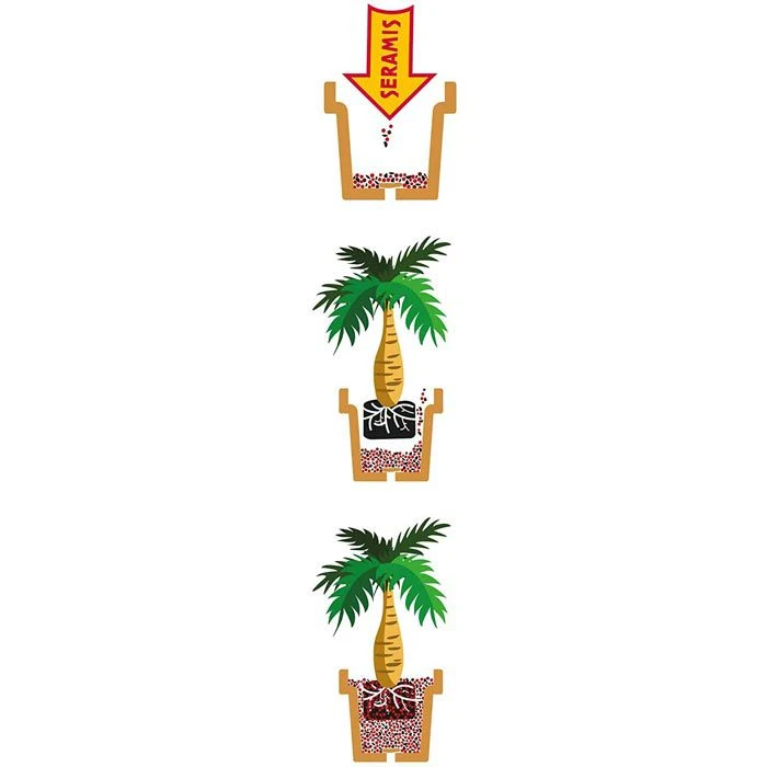 Seramis Pflanzsubstrat Spezial Für Palmen, 7 Ltr., Aus Ton-Granulat, Lava Und Silikatmineral – Bild 3