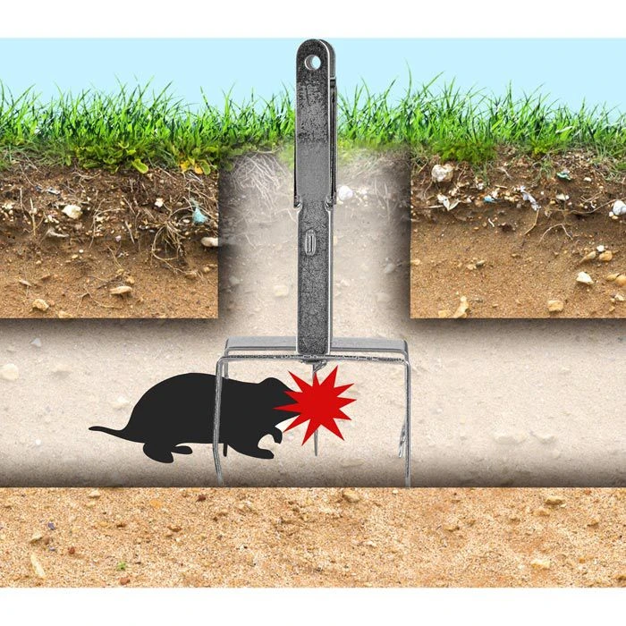 Böttcher-AG Wühlmausfalle Set, Zangenfalle, 3 Stück – Bild 2