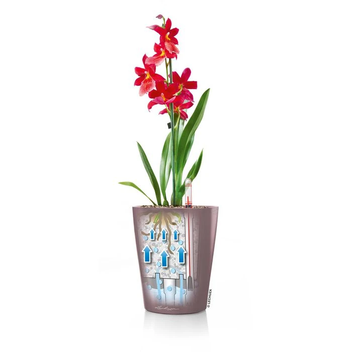 Lechuza Übertopf MINI-DELTINI, Taupe Hochglanz, 10 X 10 X 13 Cm, Kunststoff, Erdbewässerungssystem – Bild 4