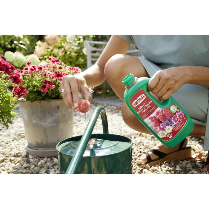 Substral Dünger Kübel- & Balkonpflanzen Nahrung, Flüssigdünger, Extra Eisen, 1 Liter – Bild 5