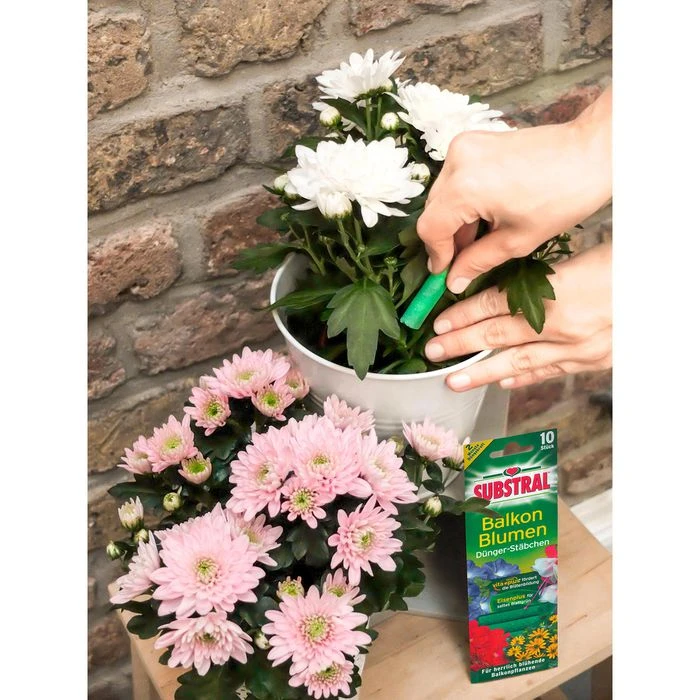 Substral Dünger Dünger-Stäbchen Für Balkonblumen, Spezialdünger, Extra Eisen, 10 Stück – Bild 3