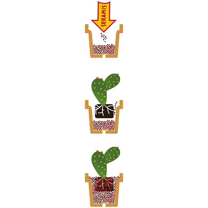 Seramis Pflanzsubstrat Für Kakteen Und Sukkulenten, Aus Ton-Granulat, Lava Und Blähton, 7 Liter – Bild 4