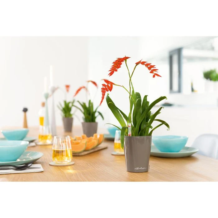 Lechuza Übertopf MINI-DELTINI, Taupe Hochglanz, 10 X 10 X 13 Cm, Kunststoff, Erdbewässerungssystem – Bild 3