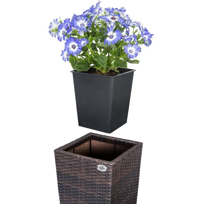 Deuba Übertopf 3er Set Polyrattan, Braun, 30/24,5/21 Cm, Quadratisch, Kunststoff – Bild 3