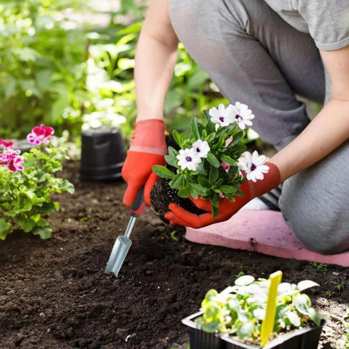 Unkrautstecher Relaxdays 18,5cm â Bild 4