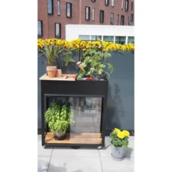 Juliana Gewächshaus Urban Vertical, 0,32 M², 80 X 40 X 158 Cm, Schwarz, Mit Rollen