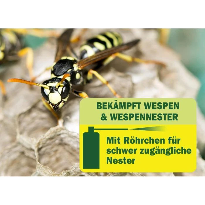 Substral Insektenspray Celaflor Wespen Schaum &, Gel Spray, Gegen Wespen & Wespennester, 400ml – Bild 2