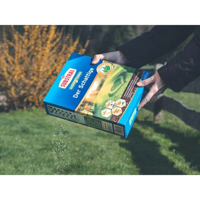 Substral Rasensamen Der Schattige, Rasen Neuanlage, Schnellkeimend, 100m² / 2 Kg â Bild 2