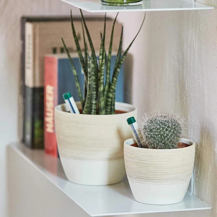 Seramis Pflanzsubstrat Für Kakteen Und Sukkulenten, Aus Ton-Granulat, Lava Und Blähton, 7 Liter – Bild 3