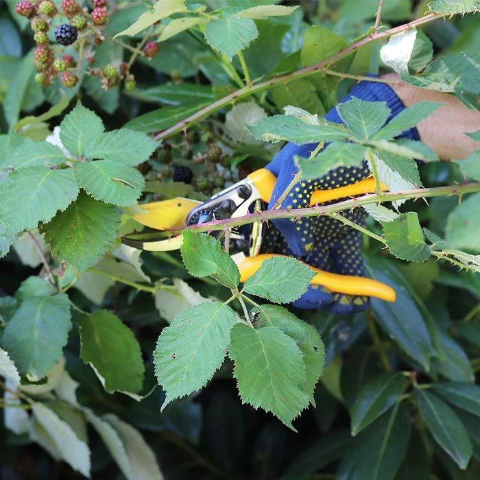 Grüntek Gartenschere Z-19, 295200016, Bypass, Schneidleistung Bis 19mm Ø – Bild 3