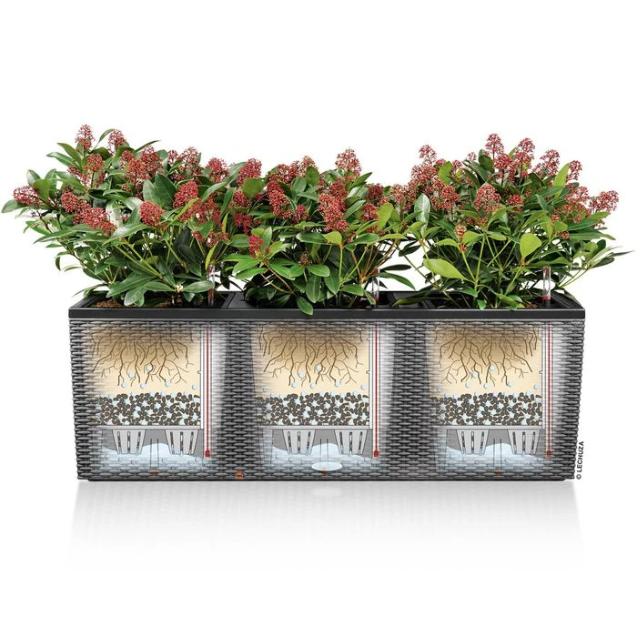 Lechuza Pflanzkasten TRIO Stone 40 Graphitschwarz, 129 X 42 X 44 Cm, Kunststoff, Bewässerungssystem – Bild 4